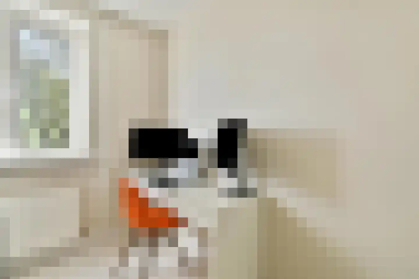 Van Speijkstraat 40 3 Amsterdam thumbnail 14
