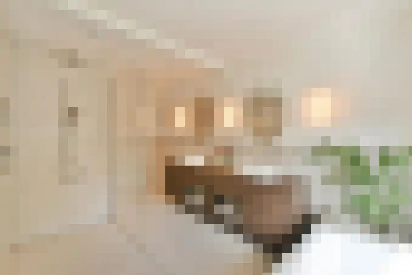 Van Speijkstraat 40 3 Amsterdam thumbnail 27