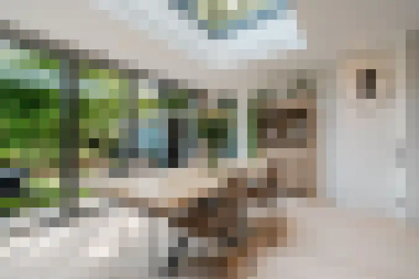 Van Speijkstraat 44 Amsterdam thumbnail 15
