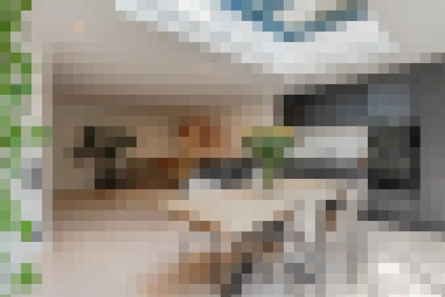 Van Speijkstraat 44 Amsterdam thumbnail 17