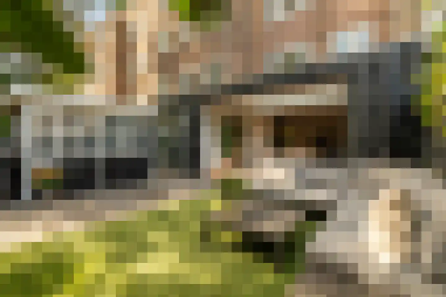 Van Speijkstraat 44 Amsterdam thumbnail 29