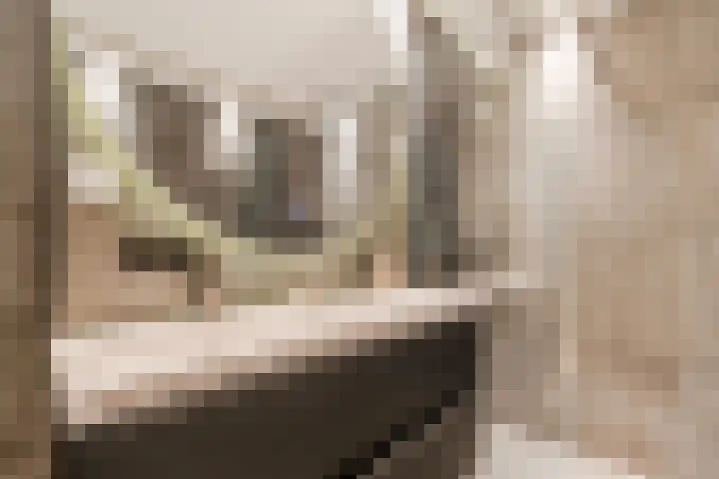 Van Speijkstraat 44 Amsterdam thumbnail 38