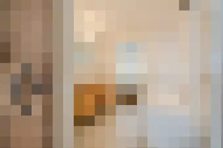 Van Speijkstraat 44 Den Haag thumbnail 55