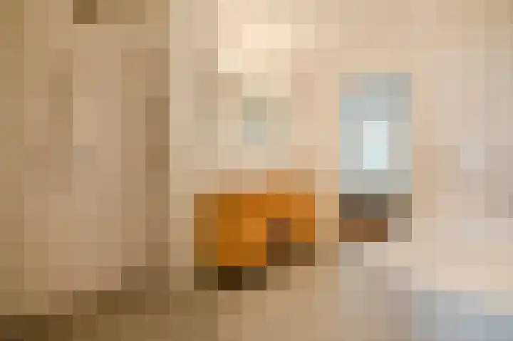 Van Speijkstraat 44 Den Haag thumbnail 64