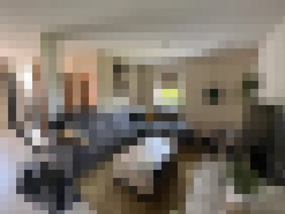 Van Speijkstraat 47 Drunen thumbnail 6