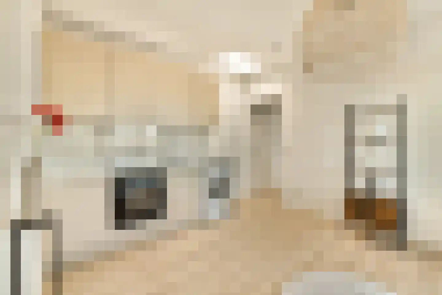 Van Speijkstraat 48 3 Amsterdam thumbnail 23