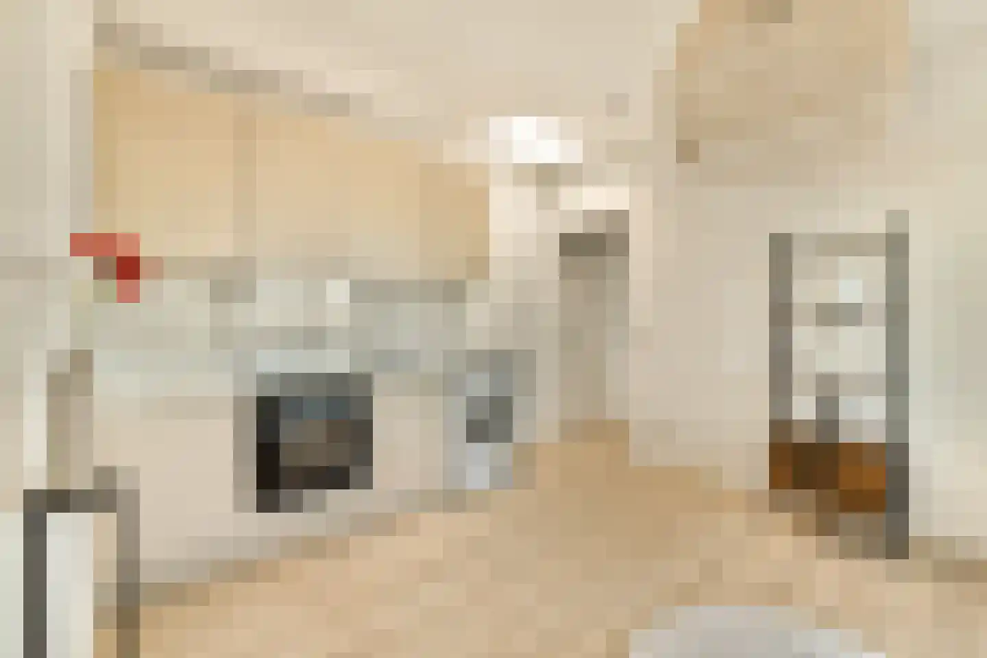Van Speijkstraat 48 3 Amsterdam thumbnail 23