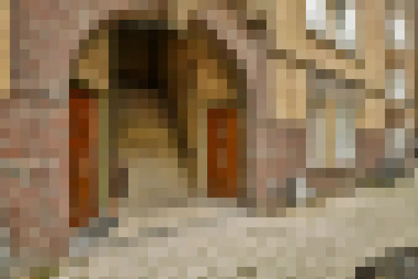 Van Speijkstraat 48 3 Amsterdam thumbnail 35