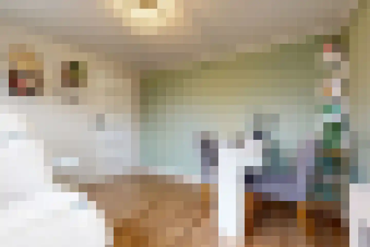 van Speijkstraat 5 Bodegraven thumbnail 16