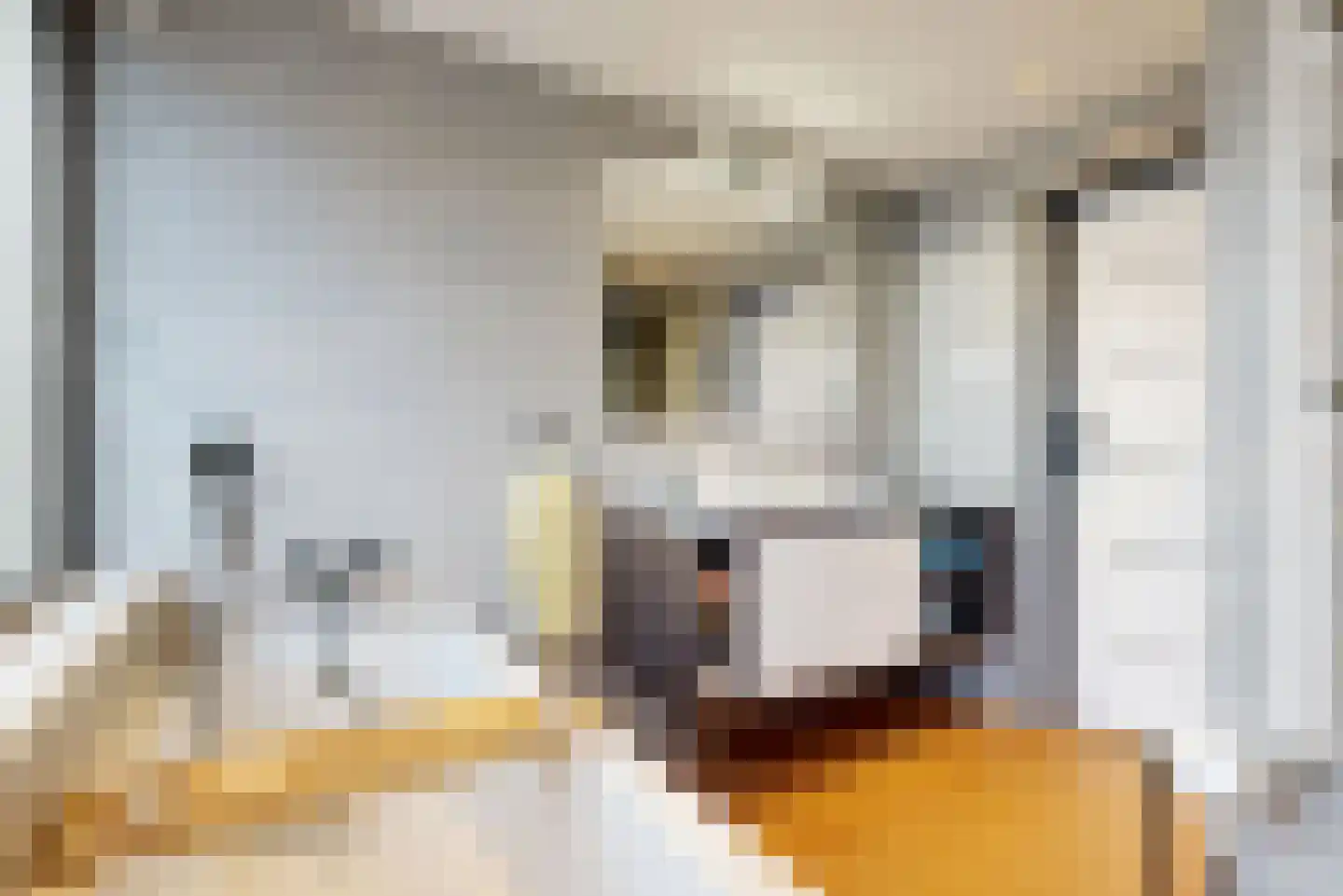 van Speijkstraat 5 Bodegraven thumbnail 17