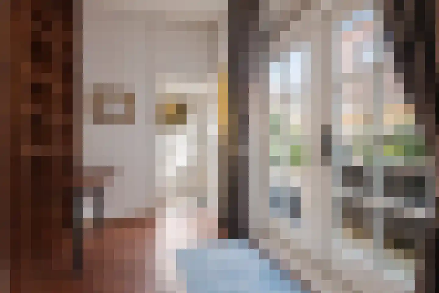 van Speijkstraat 5 Noordwijk thumbnail 12