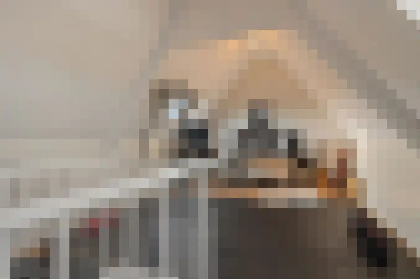 van Speijkstraat 5 Noordwijk thumbnail 46