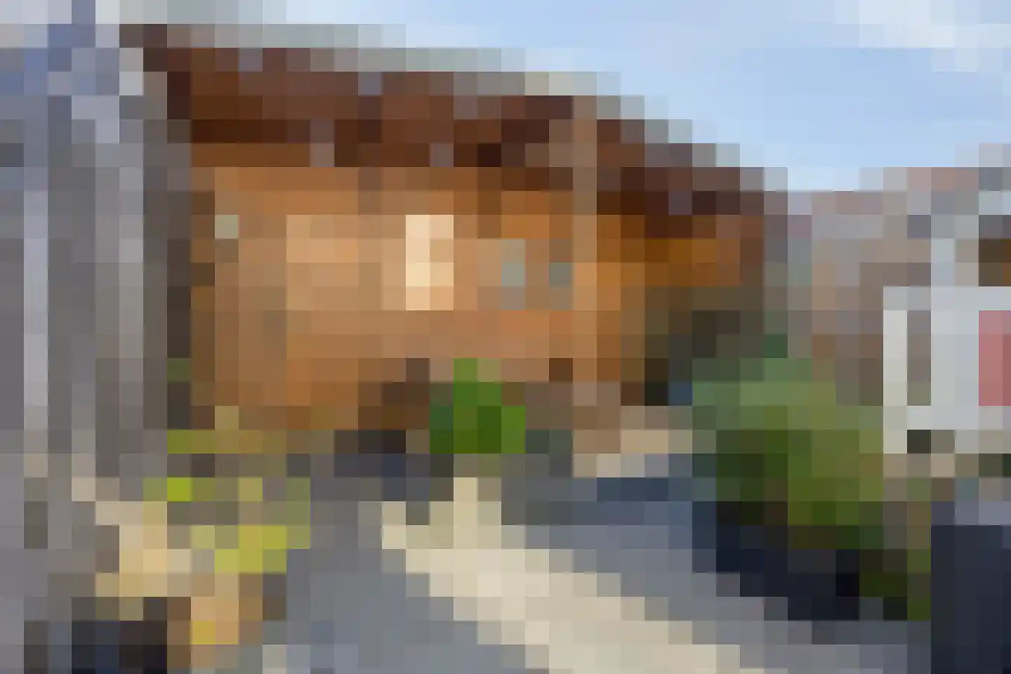 Van Speijkstraat 51 IJmuiden thumbnail 25