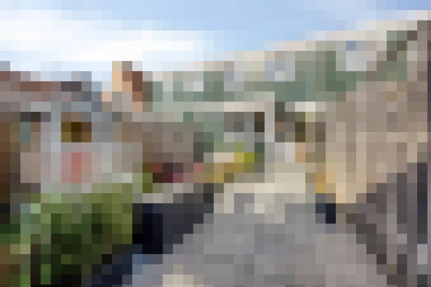 Van Speijkstraat 51 IJmuiden thumbnail 26
