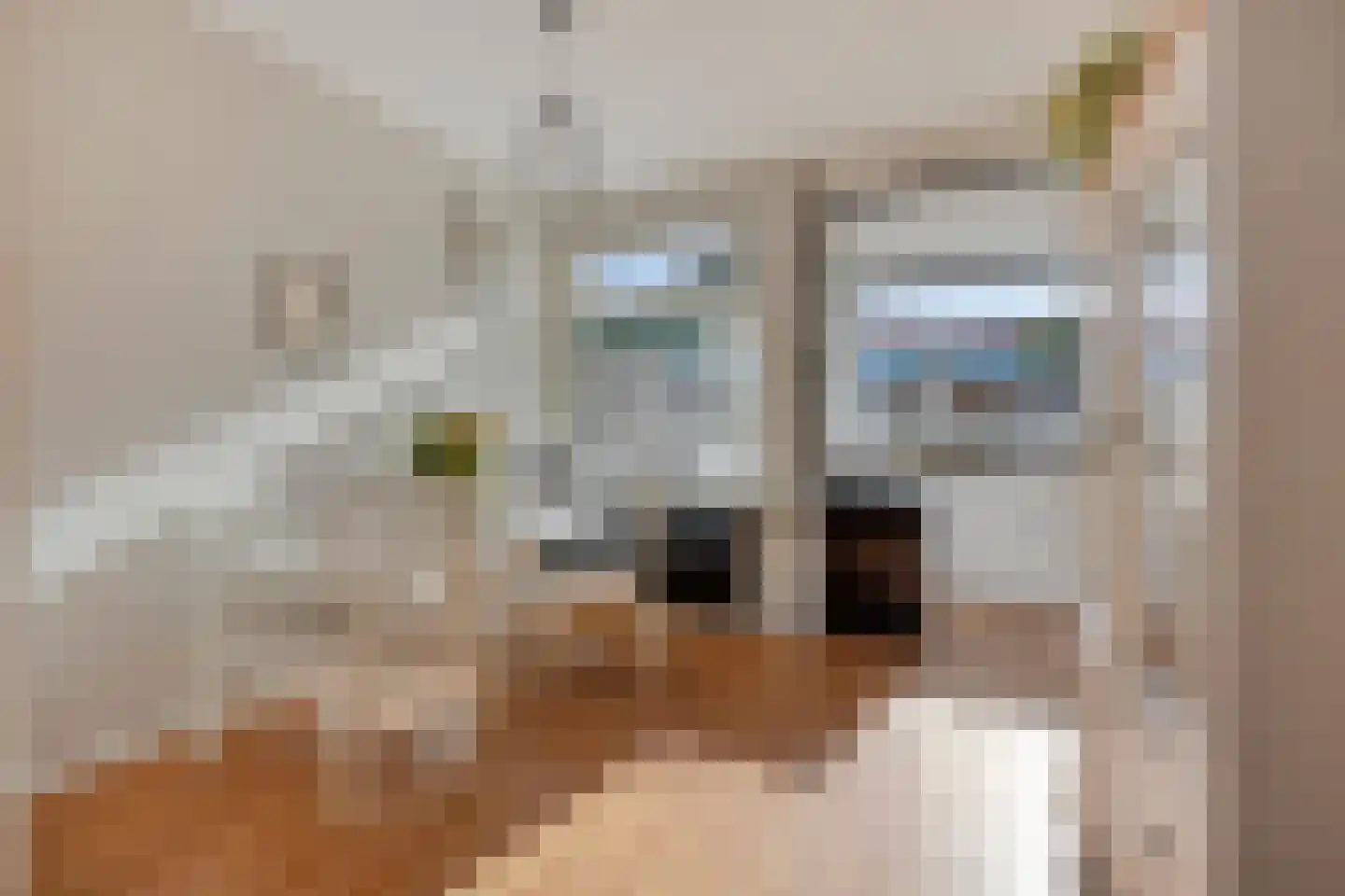 Van Speijkstraat 51 IJmuiden thumbnail 5