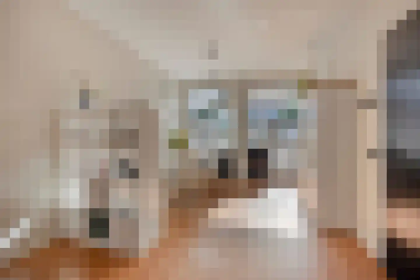 Van Speijkstraat 51 IJmuiden thumbnail 6