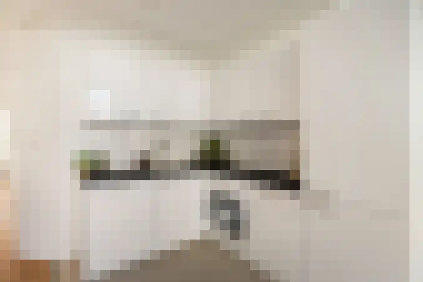 Van Speijkstraat 55 Den Haag thumbnail 8