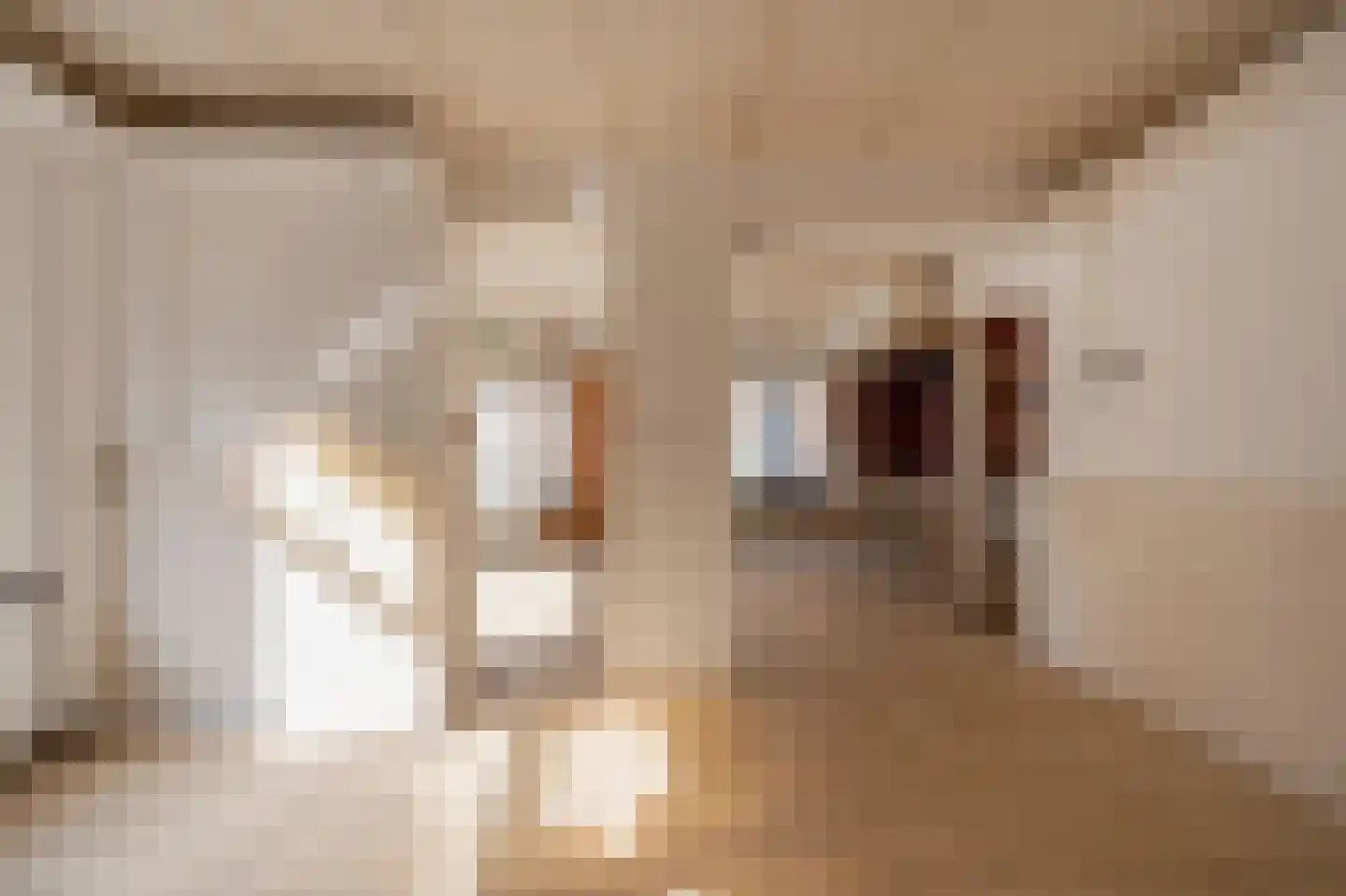 Van Speijkstraat 58 Den Haag thumbnail 18