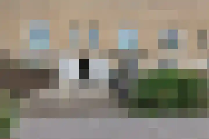 van Speijkstraat 59 Zandvoort thumbnail 4
