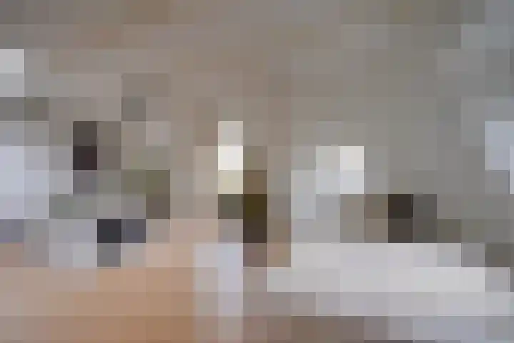 Van Speijkstraat 6 E Utrecht thumbnail 10