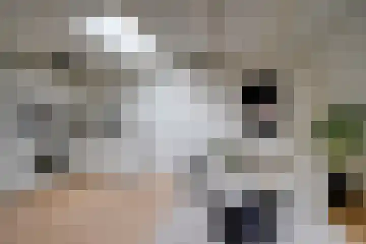Van Speijkstraat 6 E Utrecht thumbnail 6