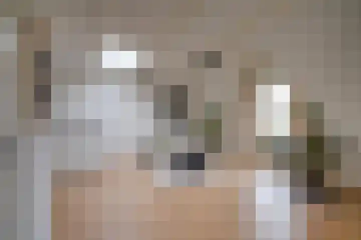 Van Speijkstraat 6 E Utrecht thumbnail 7