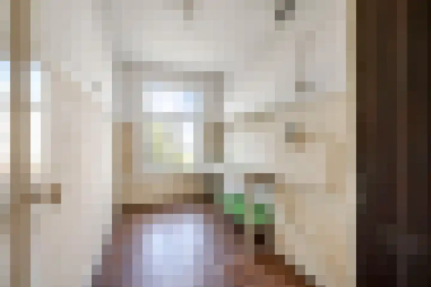 Van Speijkstraat 63 Den Haag thumbnail 36