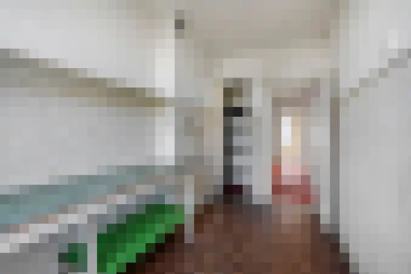 Van Speijkstraat 63 Den Haag thumbnail 37