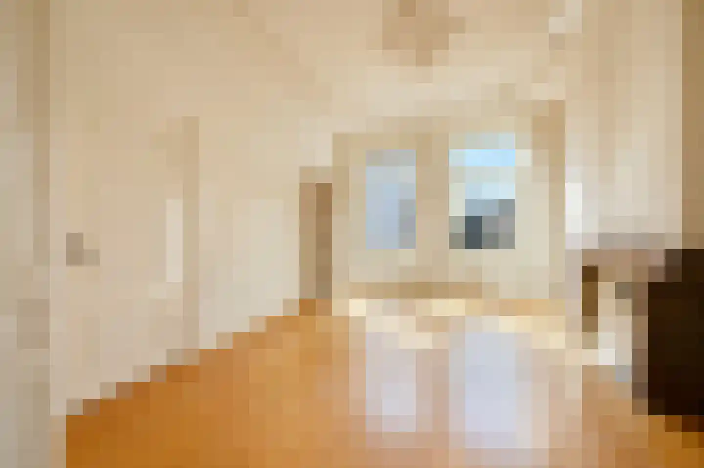 Van Speijkstraat 63 Den Haag thumbnail 5