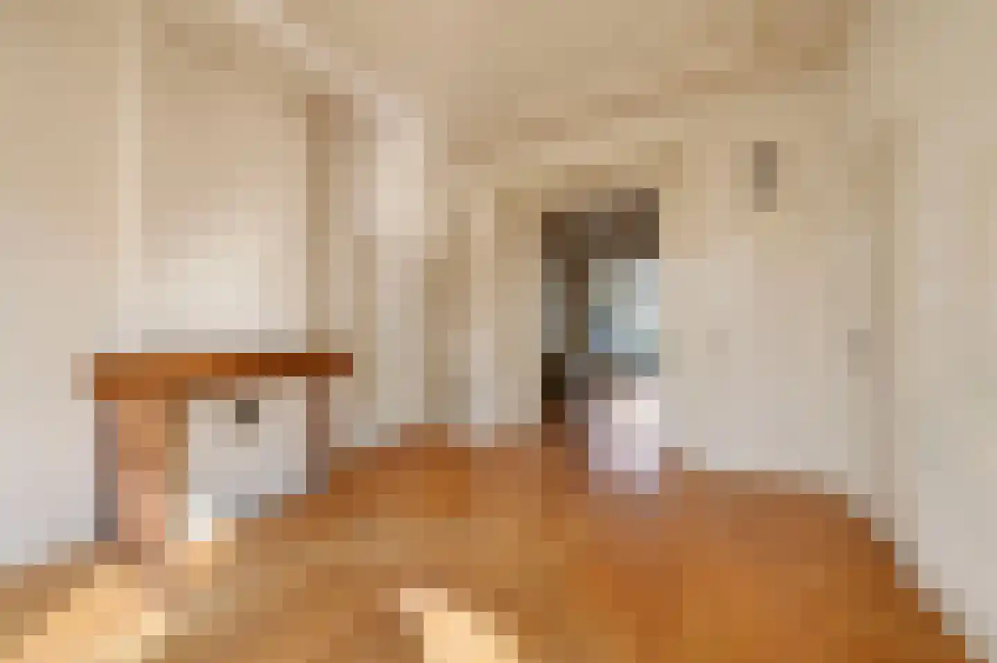 Van Speijkstraat 63 Den Haag thumbnail 8