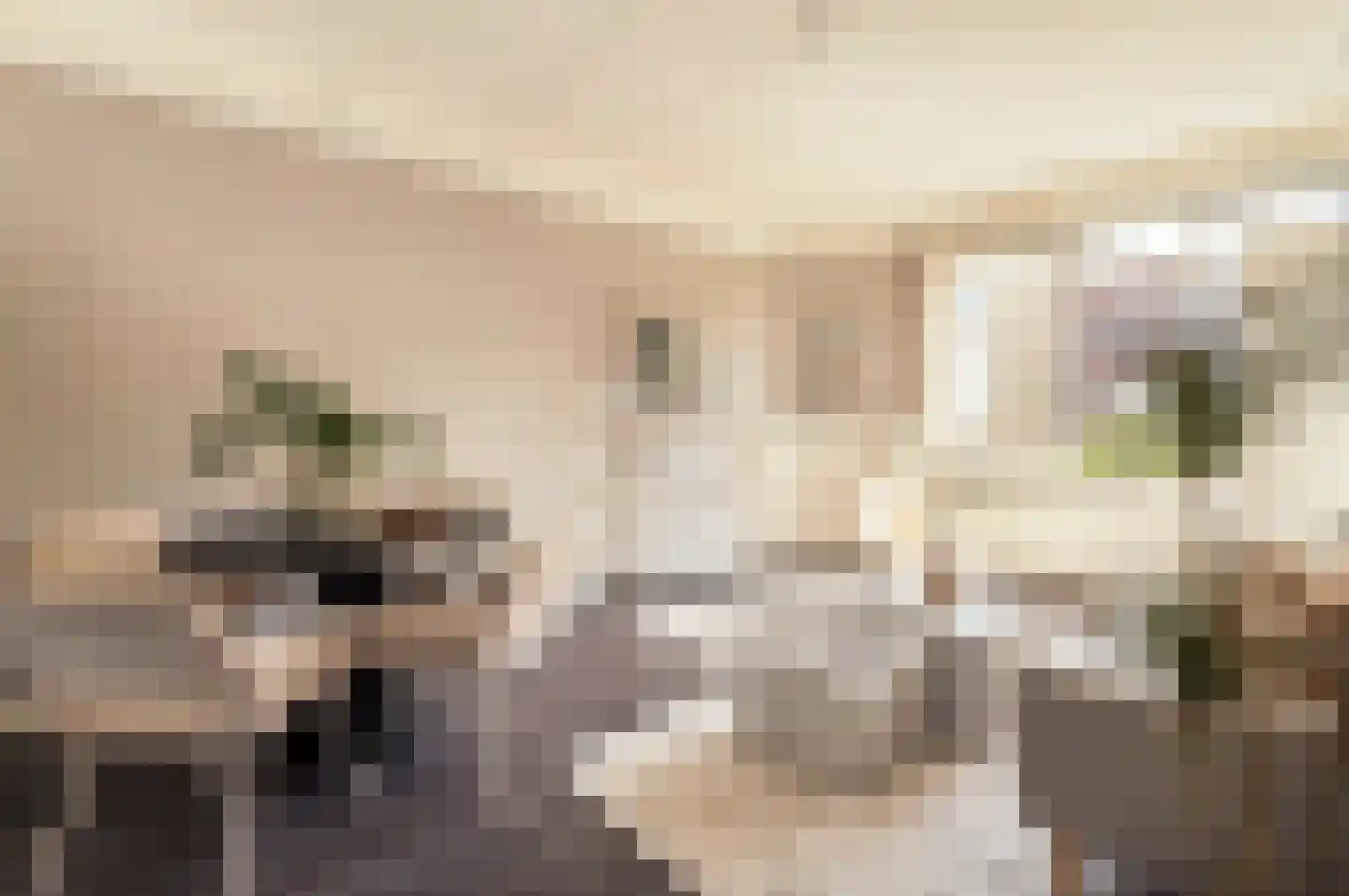 Van Speijkstraat 65 H Amsterdam thumbnail 5