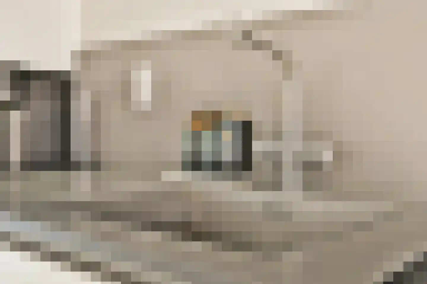 van Speijkstraat 69 Zandvoort thumbnail 10