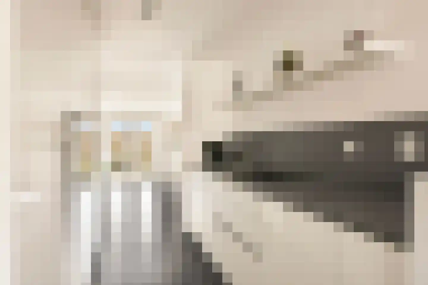 van Speijkstraat 69 Zandvoort thumbnail 7
