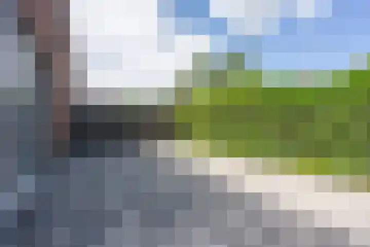 van Speijkstraat 7 Brunssum thumbnail 28