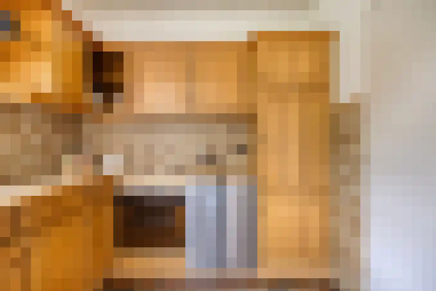 Van Speijkstraat 7 Drunen thumbnail 13