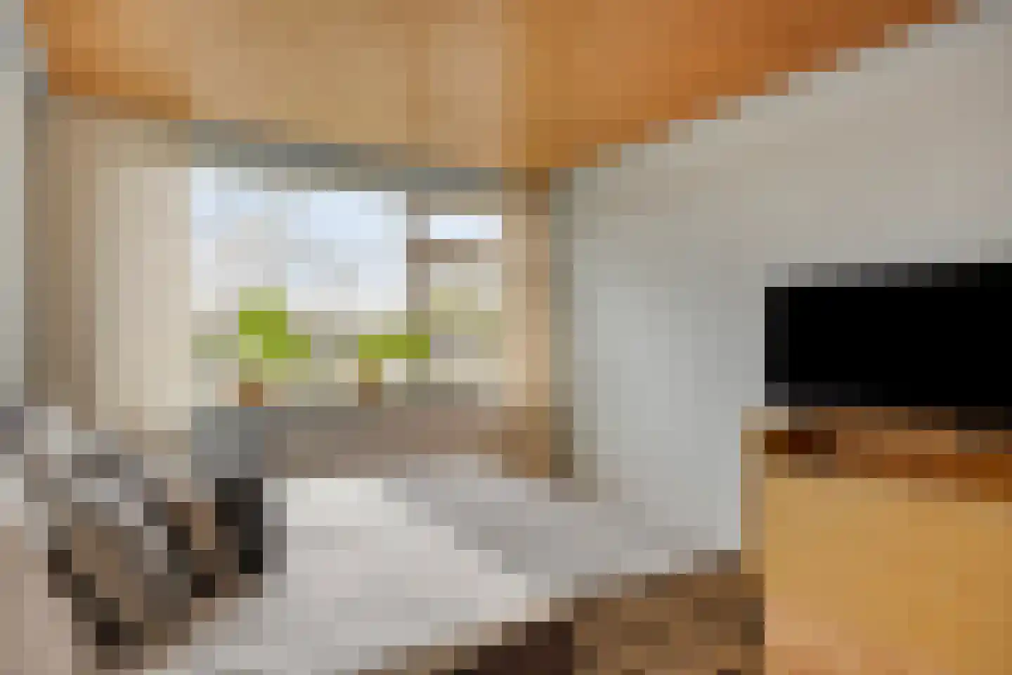 Van Speijkstraat 7 Drunen thumbnail 15