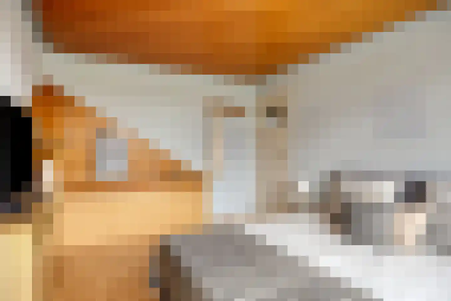 Van Speijkstraat 7 Drunen thumbnail 16