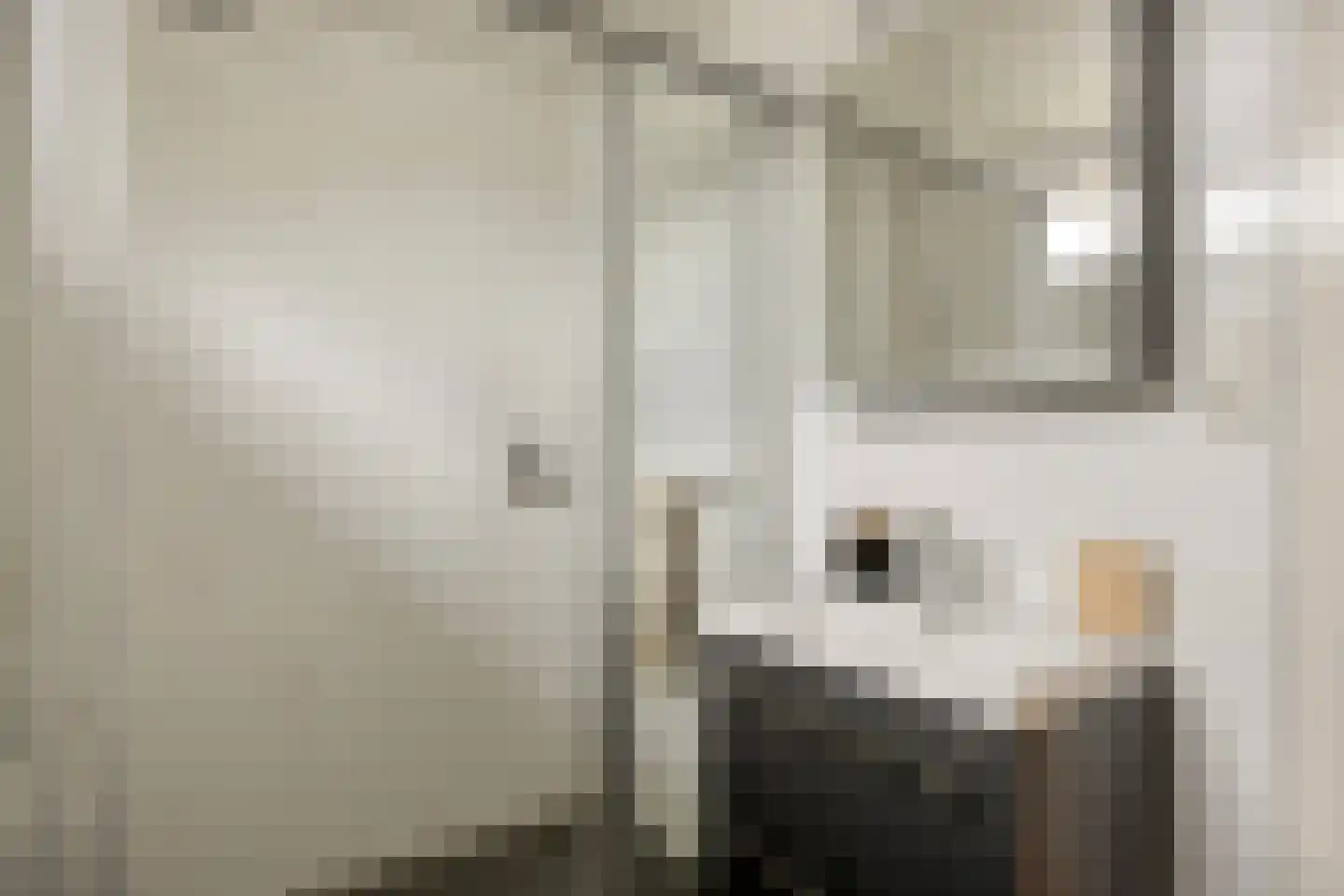 Van Speijkstraat 7 Drunen thumbnail 17