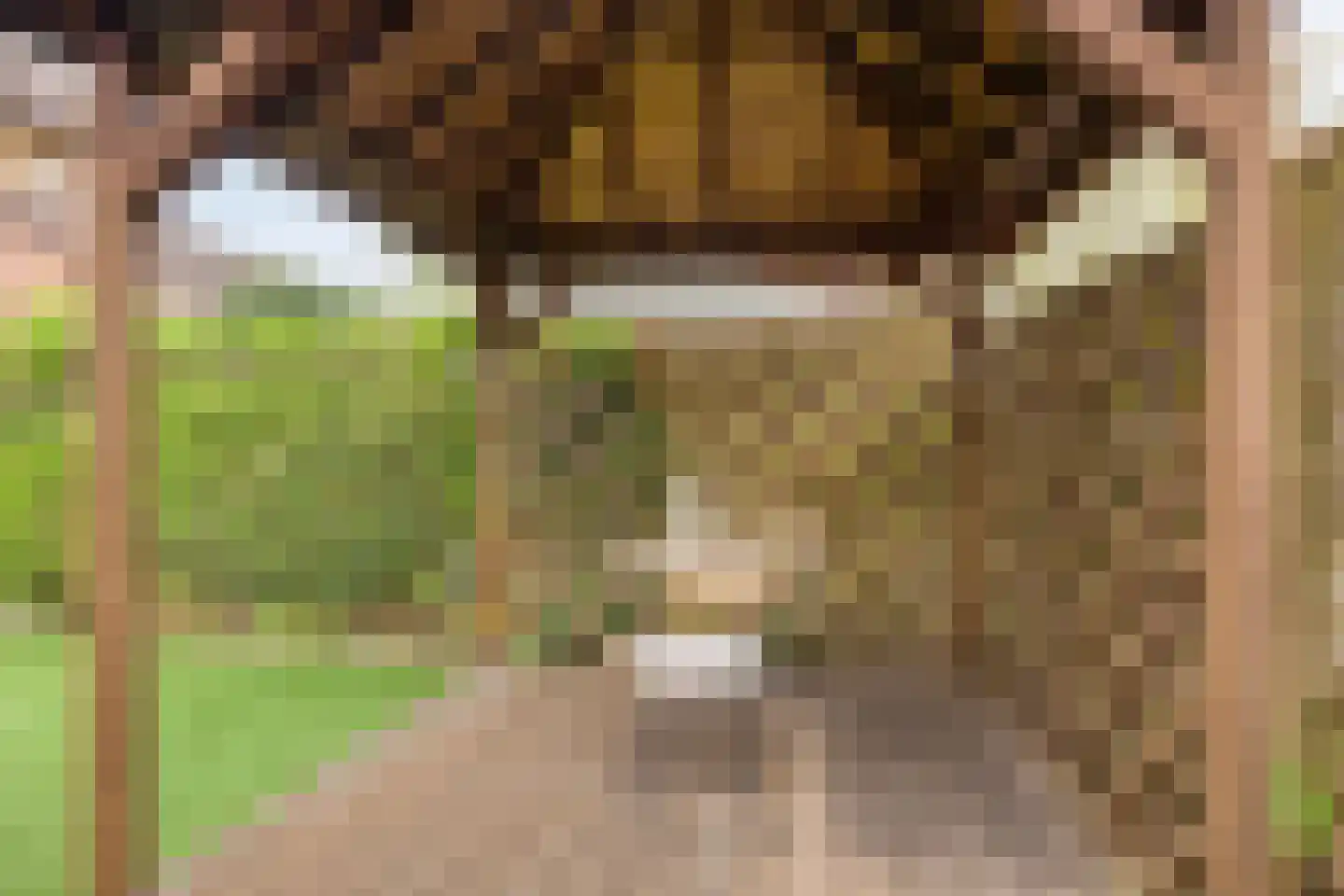 Van Speijkstraat 7 Drunen thumbnail 29
