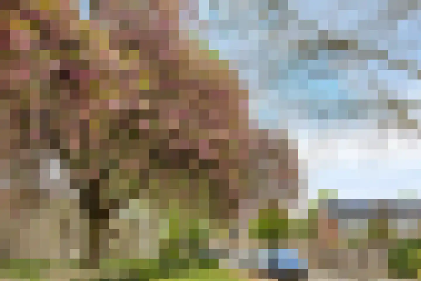 Van Speijkstraat 7 Drunen thumbnail 36