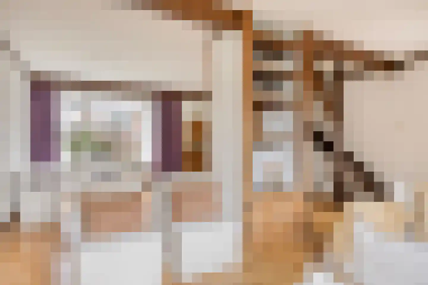 Van Speijkstraat 7 Drunen thumbnail 8