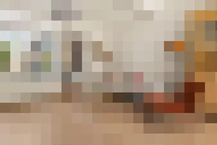 Van Speijkstraat 7 IJmuiden thumbnail 16