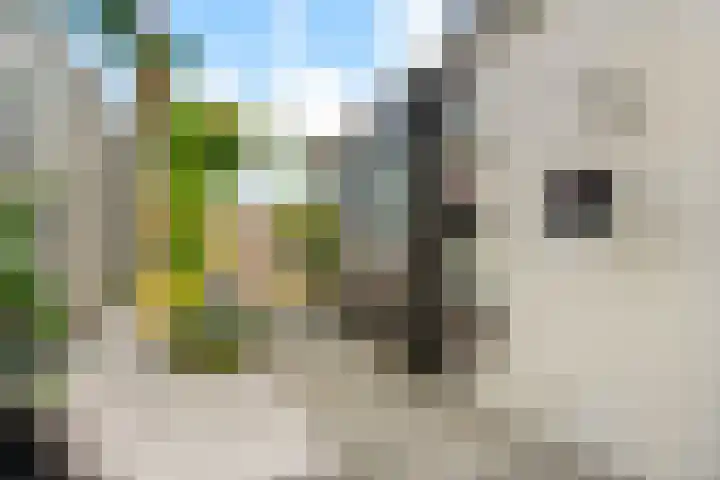 Van Speijkstraat 7 IJmuiden thumbnail 25