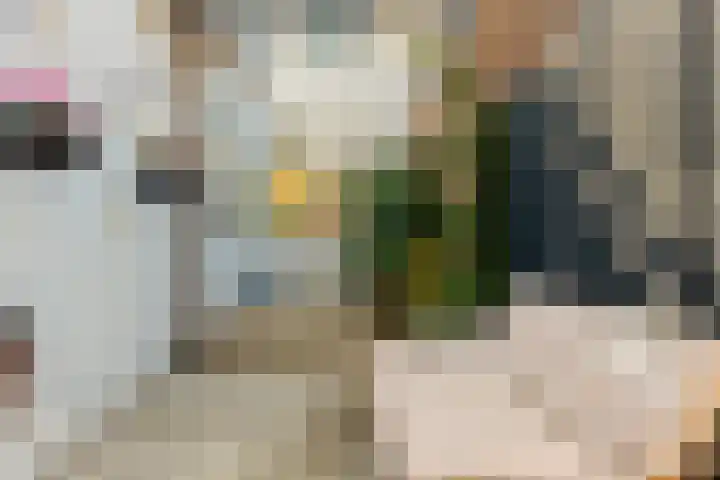 Van Speijkstraat 7 IJmuiden thumbnail 32