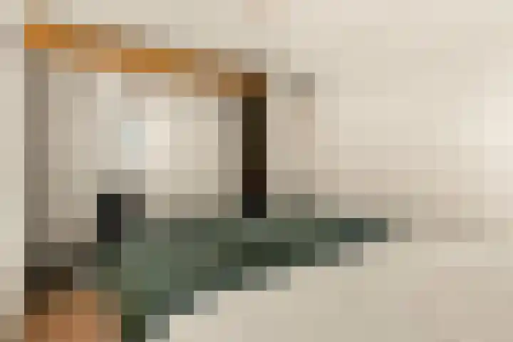 Van Speijkstraat 7 IJmuiden thumbnail 43