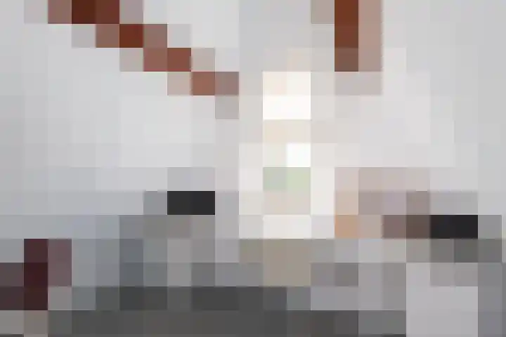 Van Speijkstraat 7 Papendrecht thumbnail 19