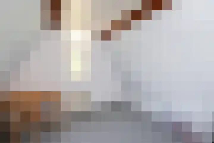 Van Speijkstraat 7 Papendrecht thumbnail 20