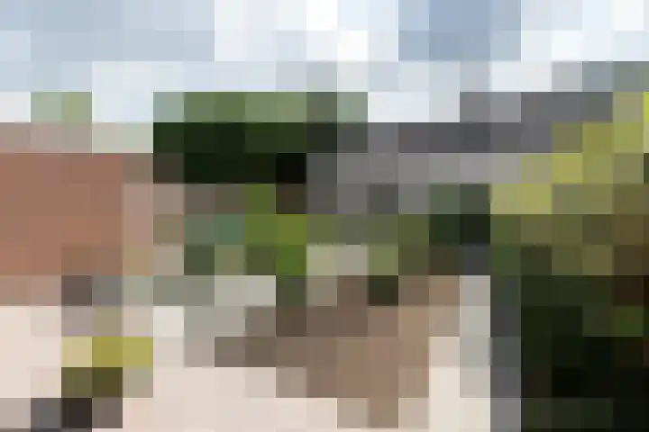Van Speijkstraat 7 Papendrecht thumbnail 21