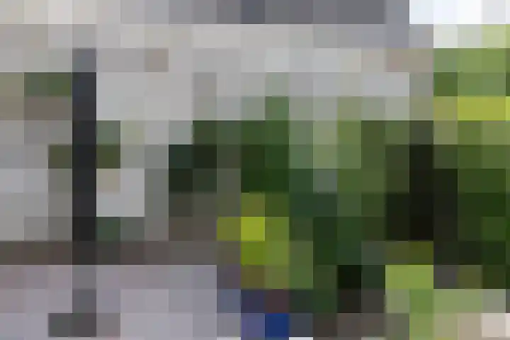 Van Speijkstraat 7 Papendrecht thumbnail 22