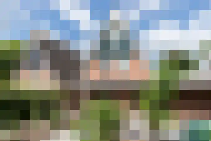 Van Speijkstraat 7 Papendrecht thumbnail 25